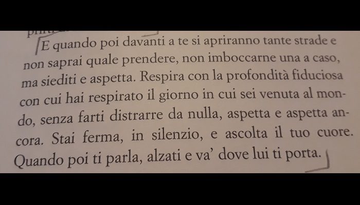 15 Citazioni Tratte Da Va Dove Ti Porta Il Cuore Leggere Facile